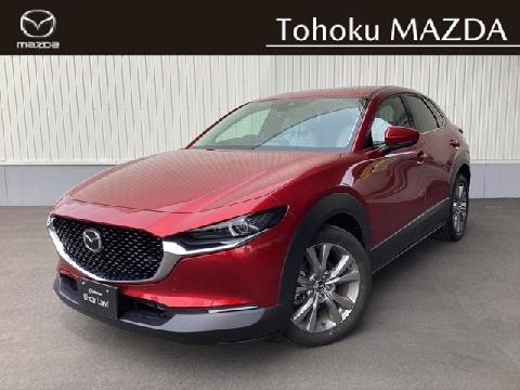 CX-30