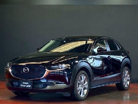 CX-30
