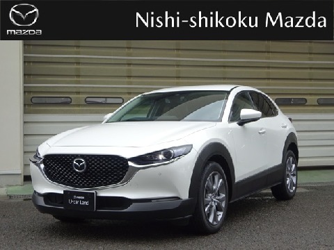 CX-30