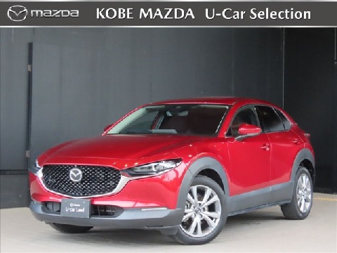 CX-30