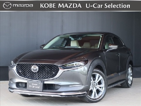 CX-30