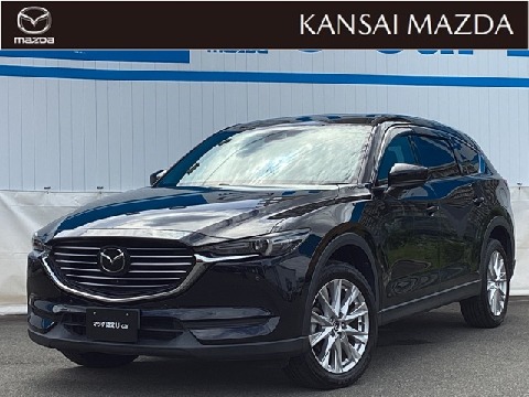 cx-8 再出品 55156877LF002.JPG