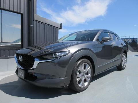 CX-30