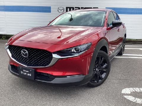 CX-30