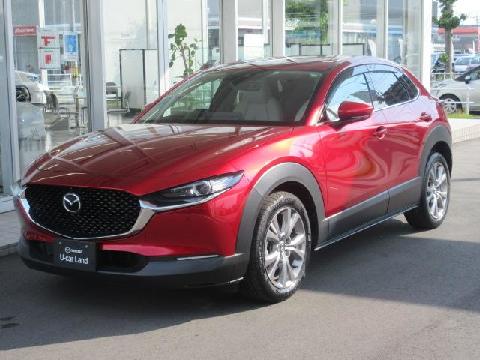 CX-30