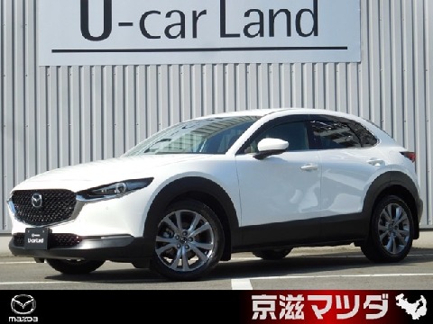 CX-30