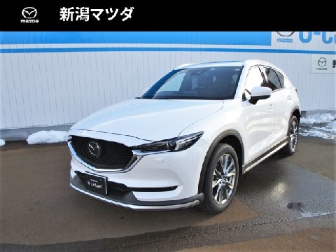 Mazda 新潟マツダ自動車株式会社 新潟マツダ 上越店の在庫一覧 お近くのマツダ店から探す マツダ公式中古車検索サイト Mazda U Car Search