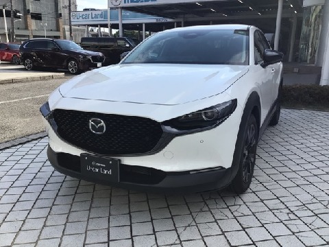 CX-30