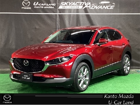 CX-30