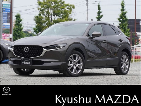 CX-30
