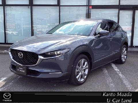 CX-30