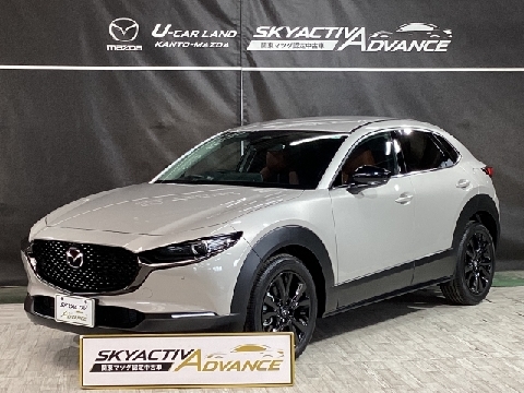 CX-30