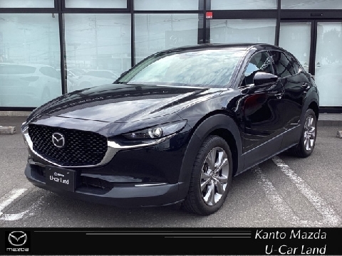 CX-30