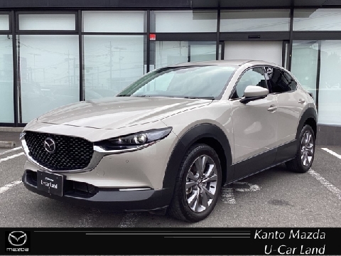 CX-30