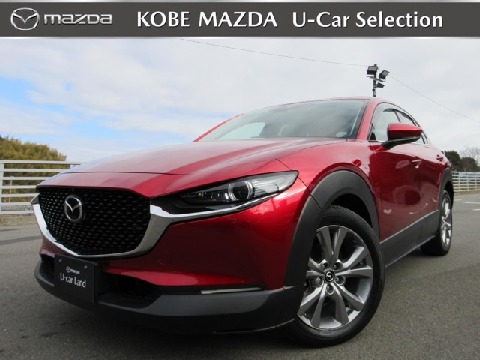 CX-30