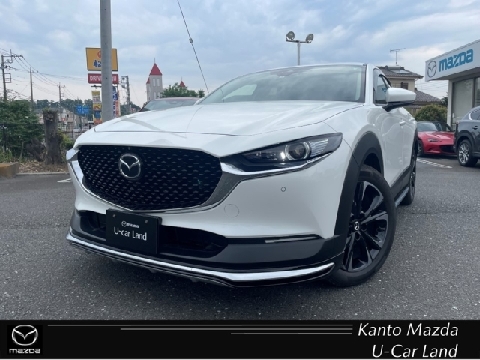 CX-30