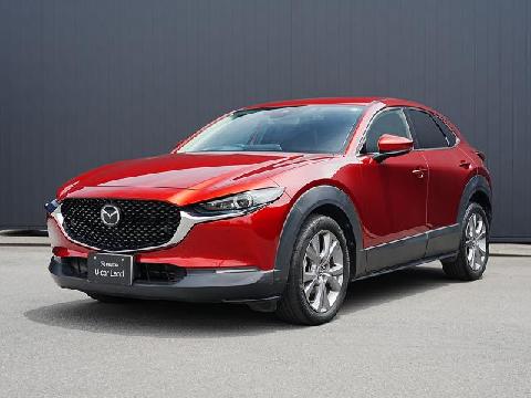CX-30