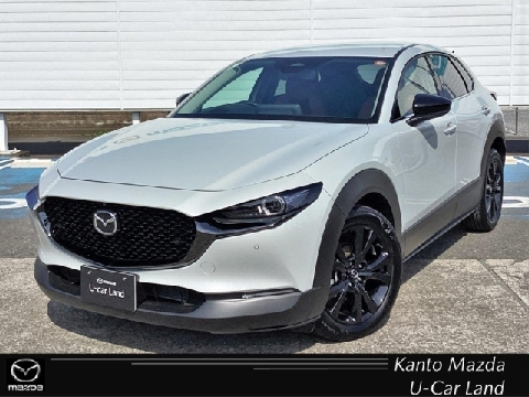 CX-30