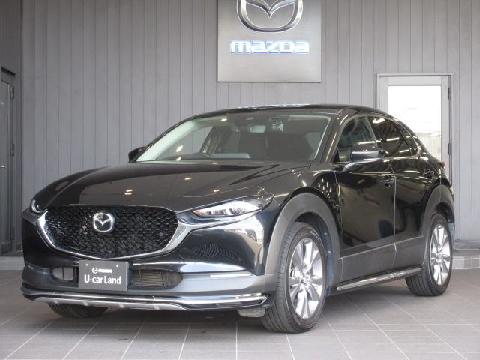 CX-30