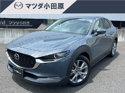 CX-30