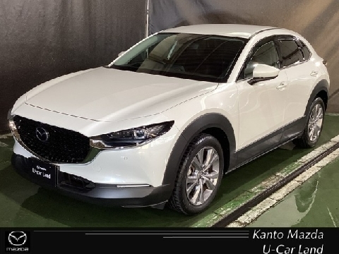 CX-30