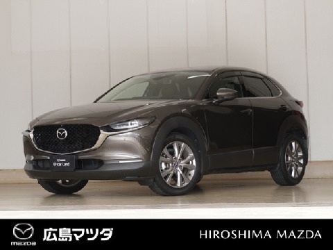 CX-30