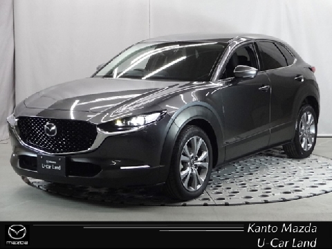 CX-30