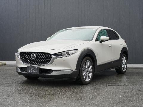 CX-30