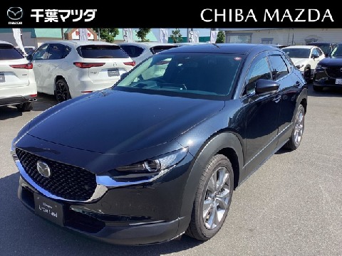 CX-30