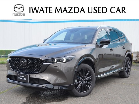 CX-8