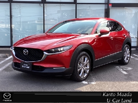 CX-30
