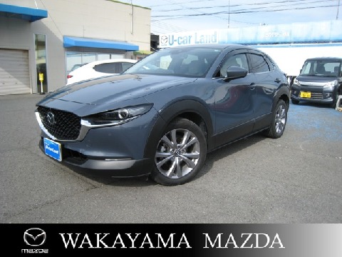 CX-30