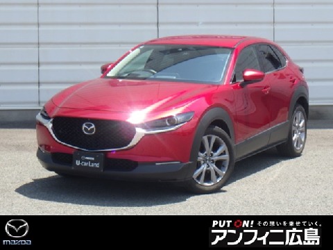 CX-30