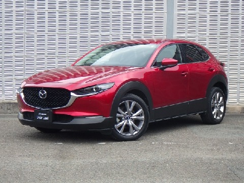 CX-30