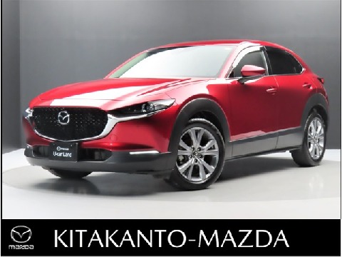 CX-30