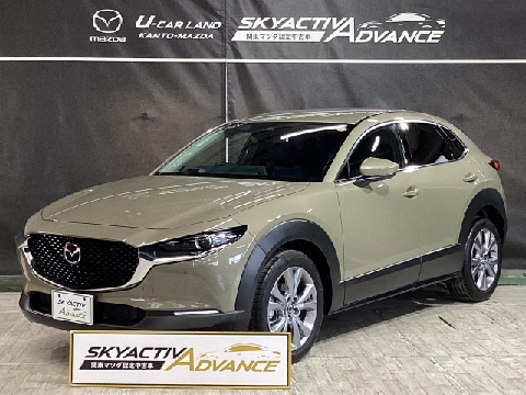 CX-30