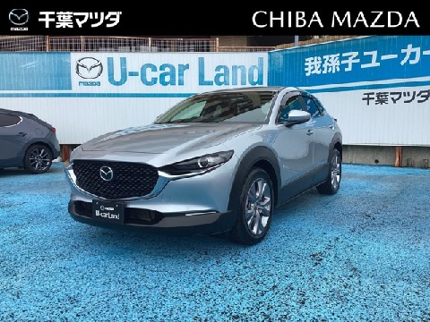 CX-30