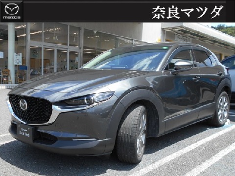 CX-30