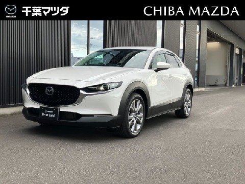 CX-30