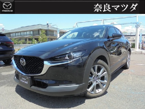 CX-30