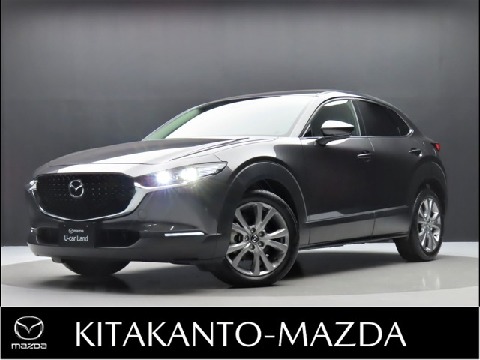 CX-30