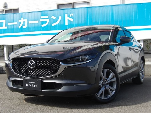 CX-30