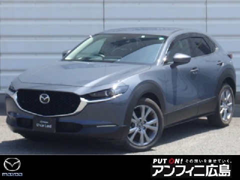 CX-30