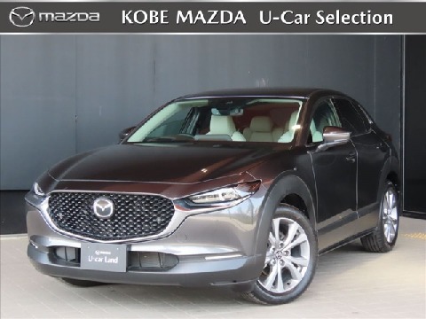 CX-30