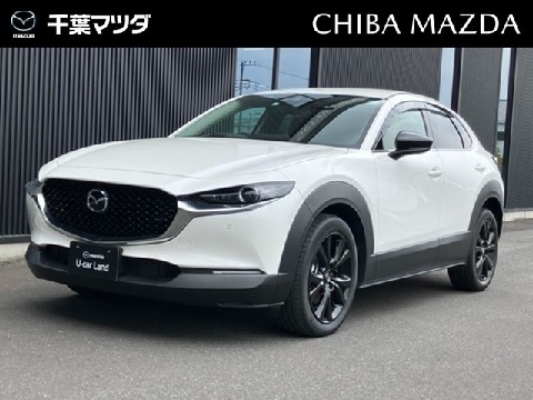 CX-30