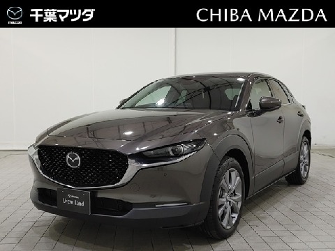 CX-30