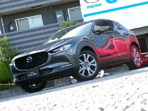 CX-30