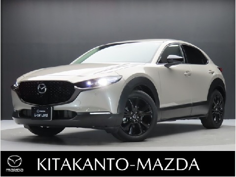 CX-30