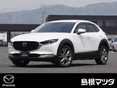 CX-30