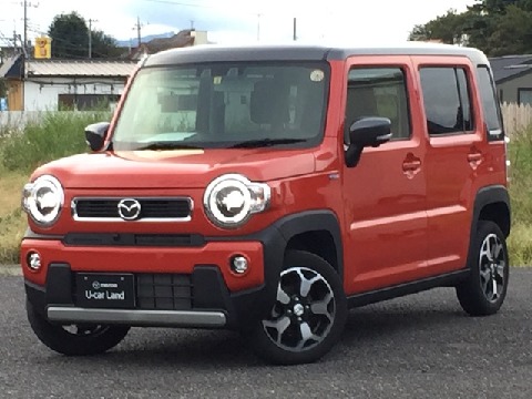 Ivtnm3bjtexsam Ivtnm3bjtexsam